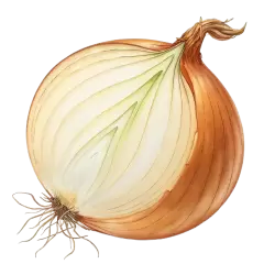 Imagen PNG para descargar